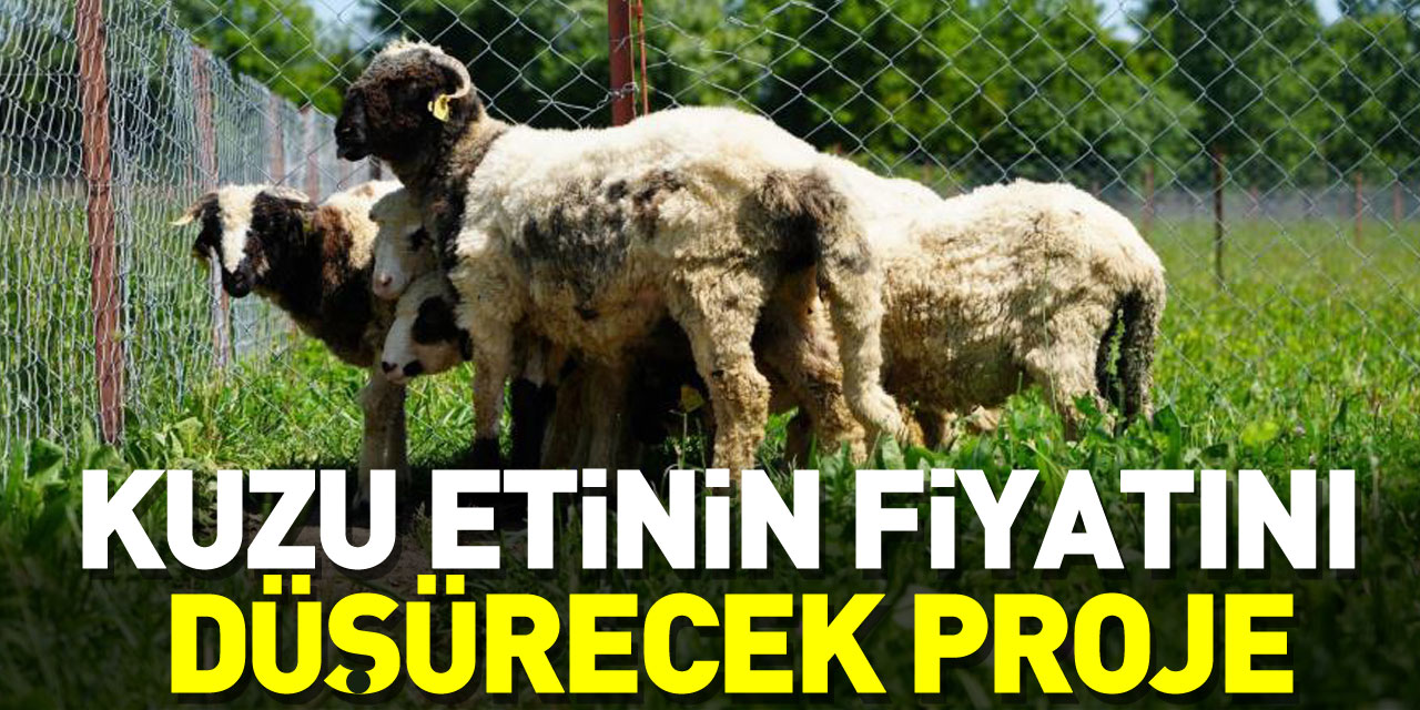 ET FİYATINI DÜŞÜRECEK PROJE