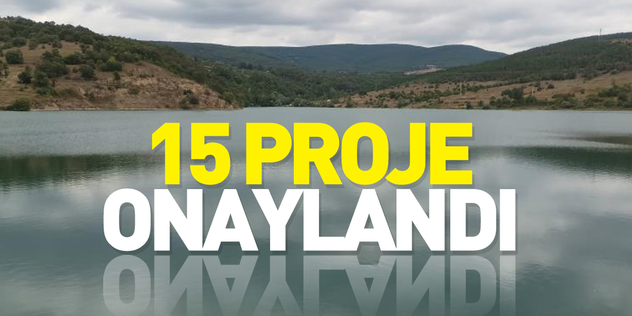 15 proje onaylandı