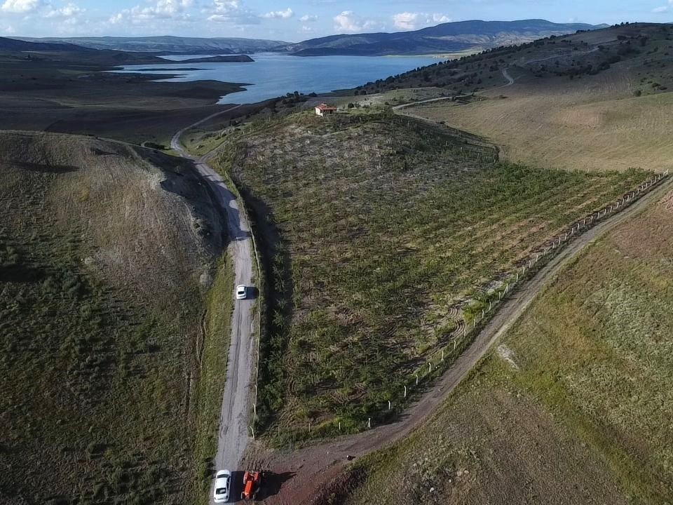 badem bahçesine çevirdi, gelirini artırdı