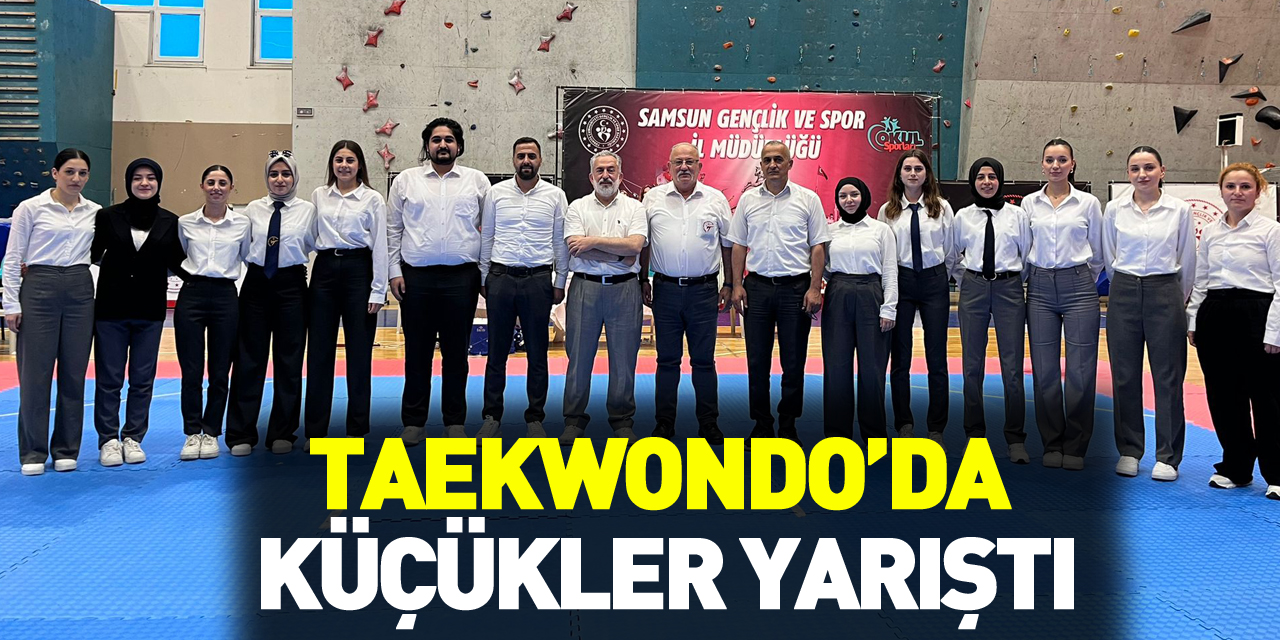 Taekwondo Küçükler yarıştı