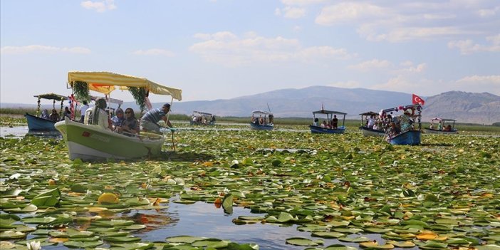 Nilüferlerle kaplı Işıklı Gölü ziyaretçilerini ağırlıyor