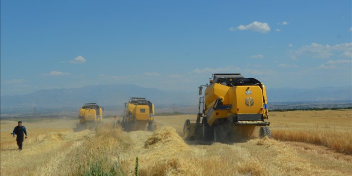 Malatya'da yılın ilk buğday hasadı yapıldı