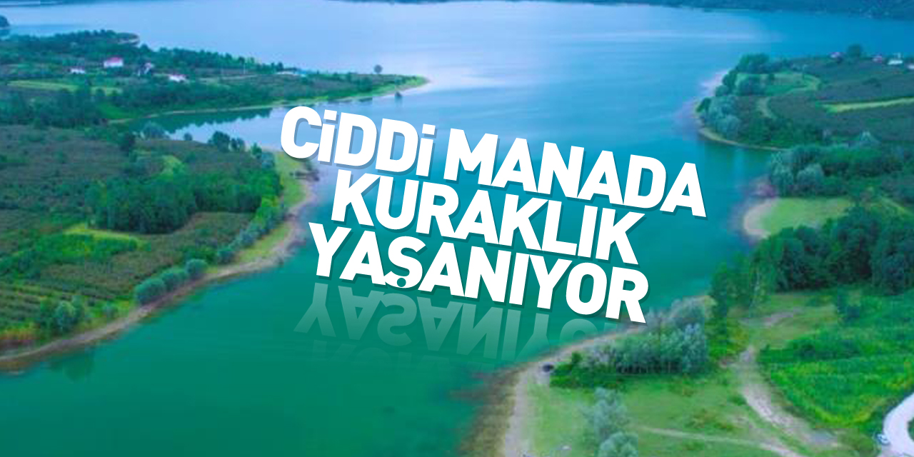 Ciddi manada kuraklık yaşanıyor