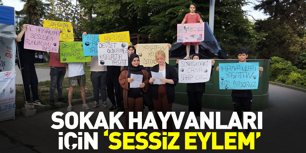 SOKAK HAYVANLARI İÇİN ‘SESSİZ EYLEM’