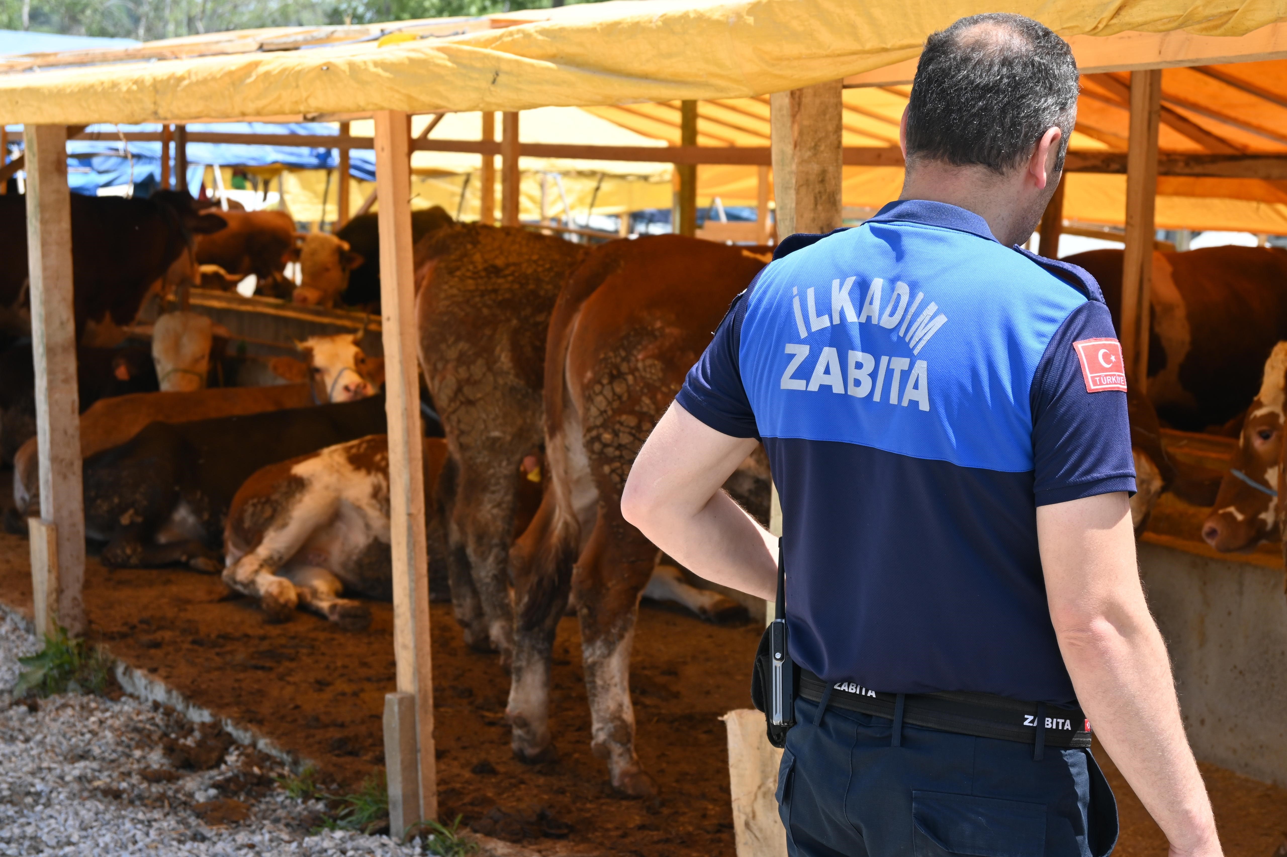 Zabıta ekipleri kurban denetimlerini artırdı