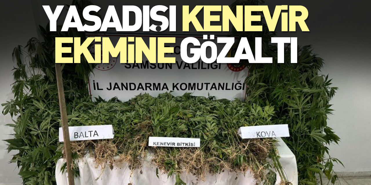 YASADIŞI KENEVİR EKİMİNE GÖZALTI