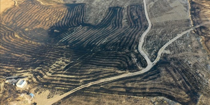 Diyarbakır ve Mardin arasında anız yangını: 5 ölü