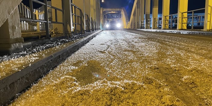 Birgün sineklerinin "ölüm uçuşu" başladı