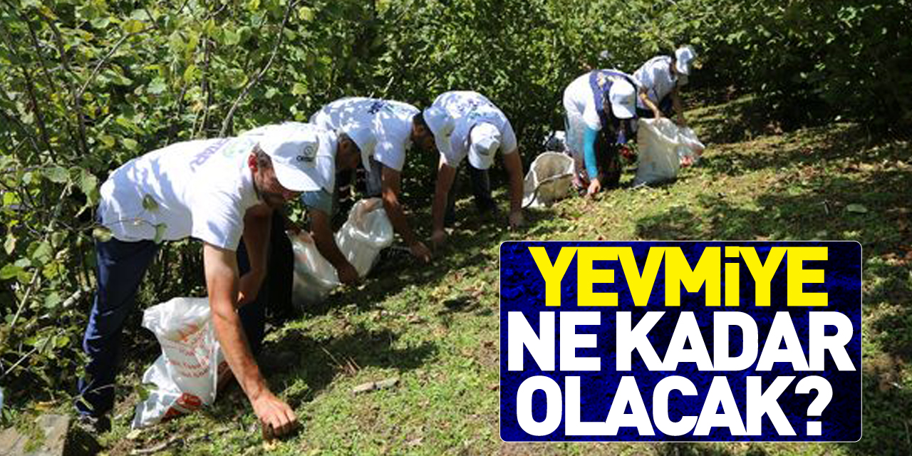 YEVMİYE NE KADAR OLACAK?