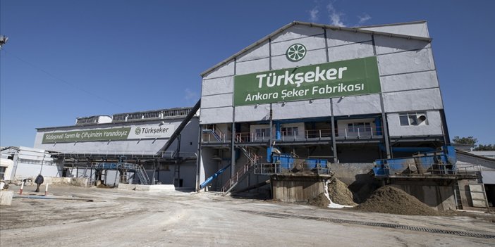 Şeker pancarı tohumları gelecek yıl toprakla buluşacak