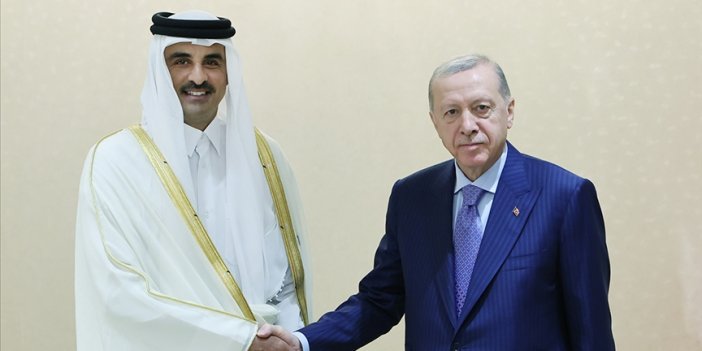Erdoğan, Al Sani ile bir arada