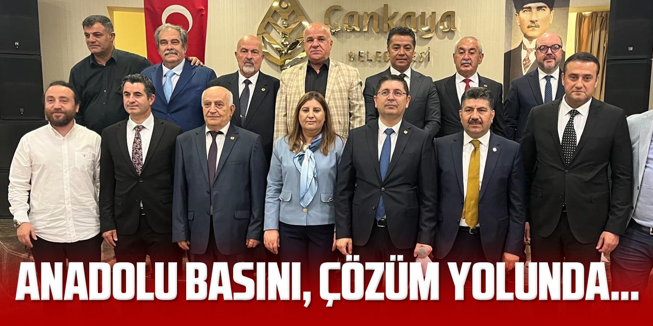 Anadolu Basını, Çözüm Yolunda…