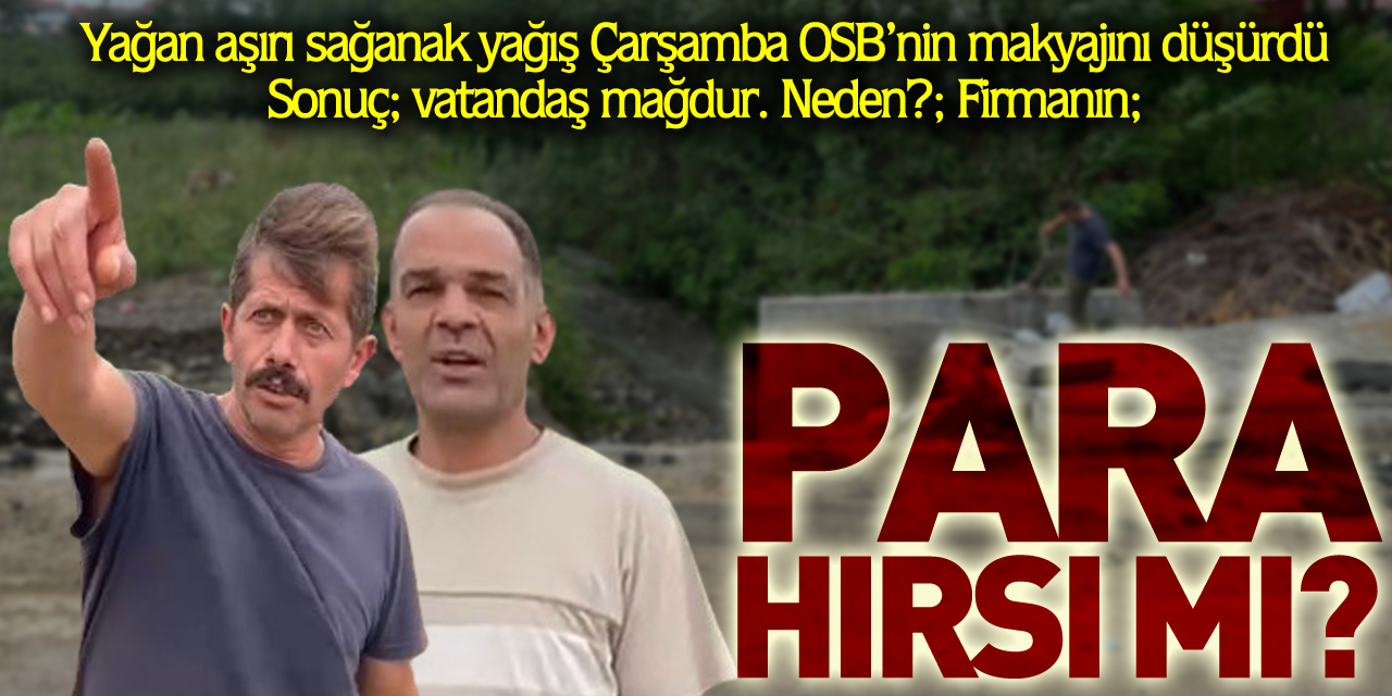 Para Hırsı mı?