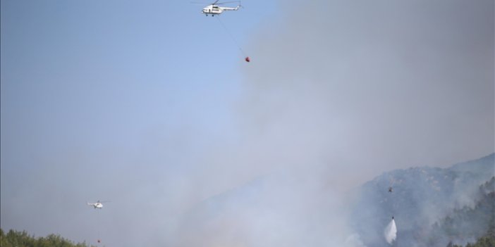 Bodrum'da orman yangını çıktı