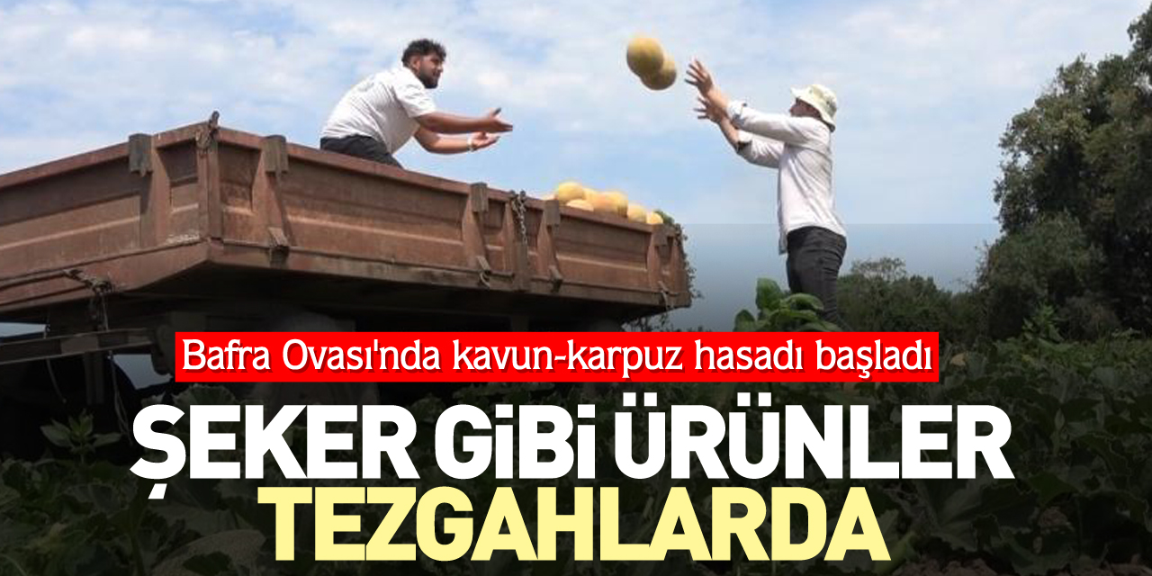 Şeker gibi ürünler tezgahlarda