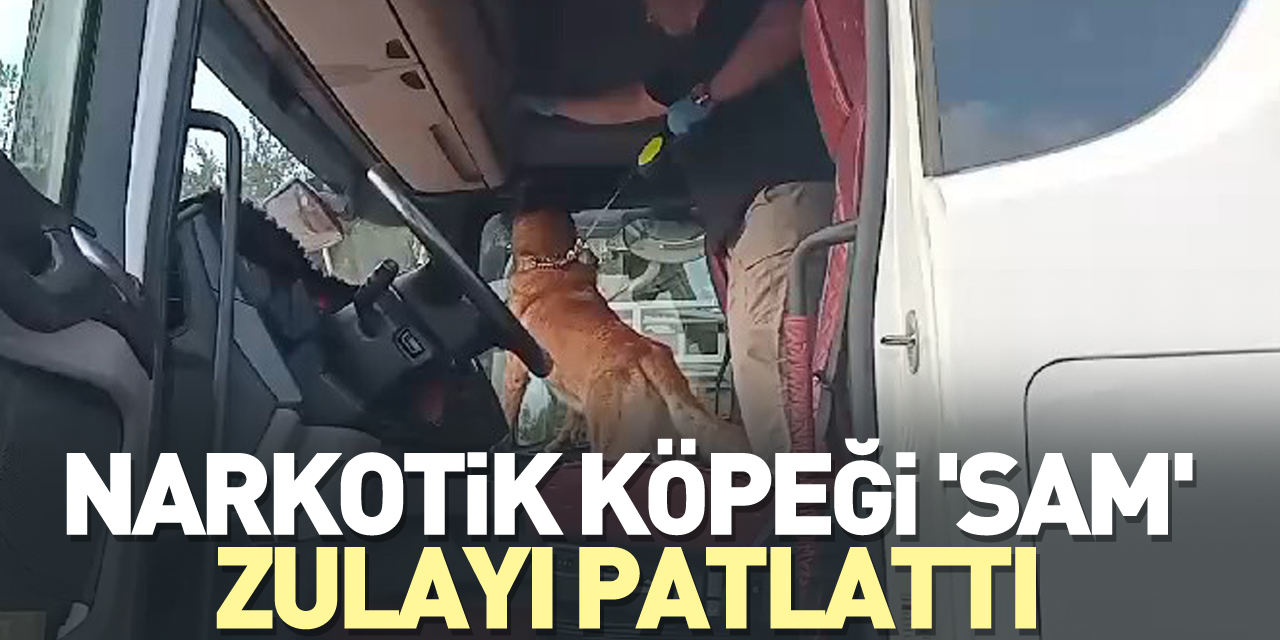 Narkotik köpeği 'Sam' zulayı patlattı