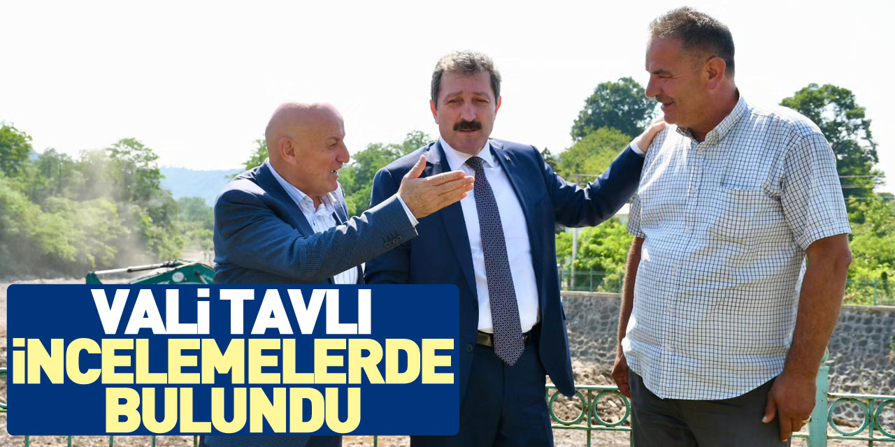 Vali Tavlı incelemelerde bulundu