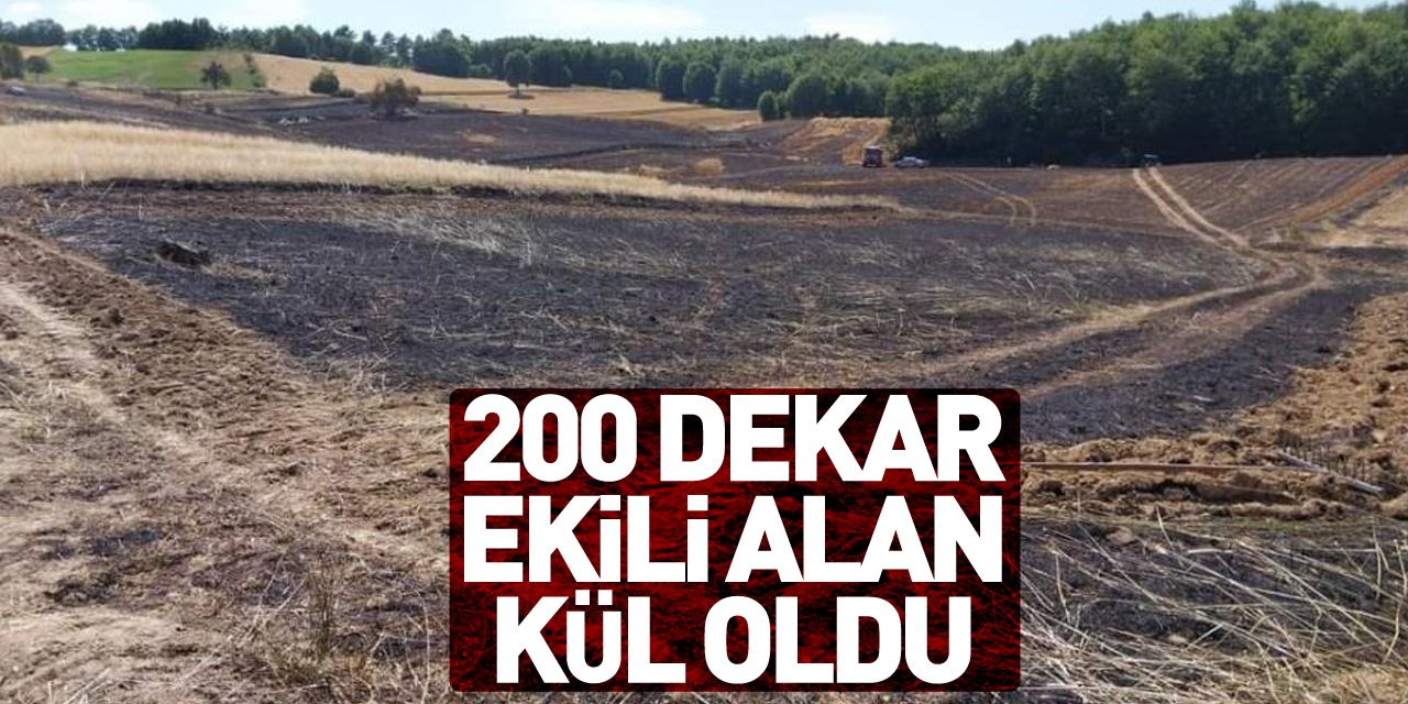 200 dekar ekili alan kül oldu