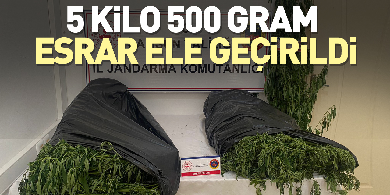 5 kilo 500 gram esrar ele geçirildi