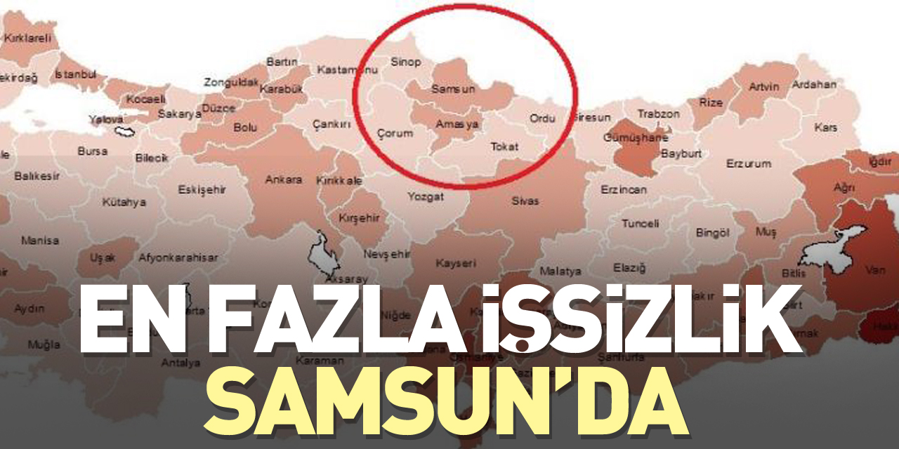 EN FAZLA İŞSİZLİK SAMSUN'DA