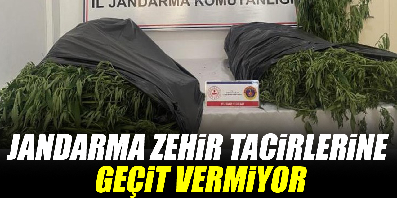 Jandarma zehir tacirlerine geçit vermiyor