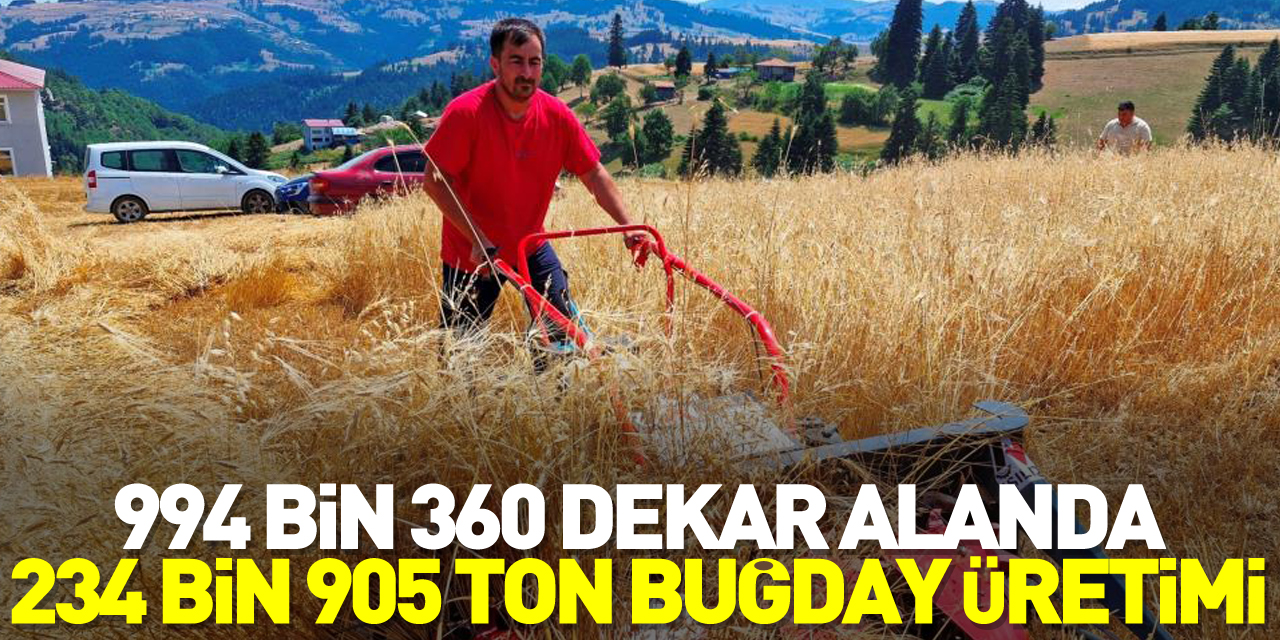 994 bin 360 dekar alanda 234 bin 905 ton buğday üretimi