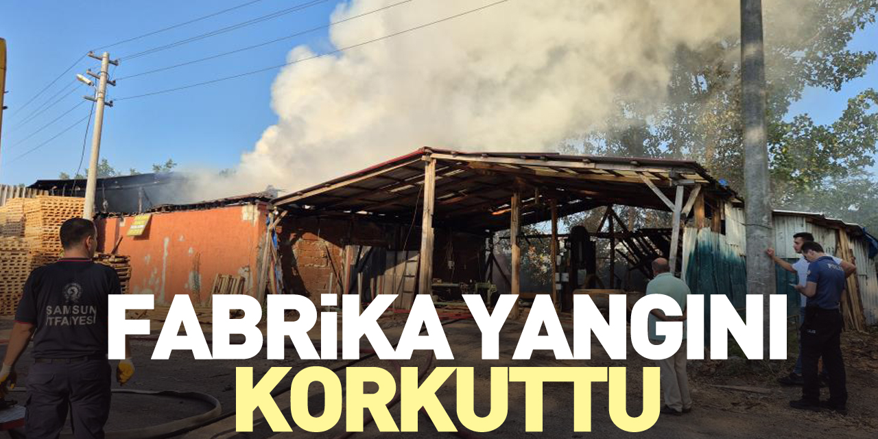 Fabrika Yangını Korkuttu