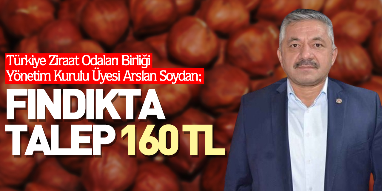 Fındıkta Talep 160 TL