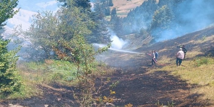 Ormanlık alanda yangın çıktı