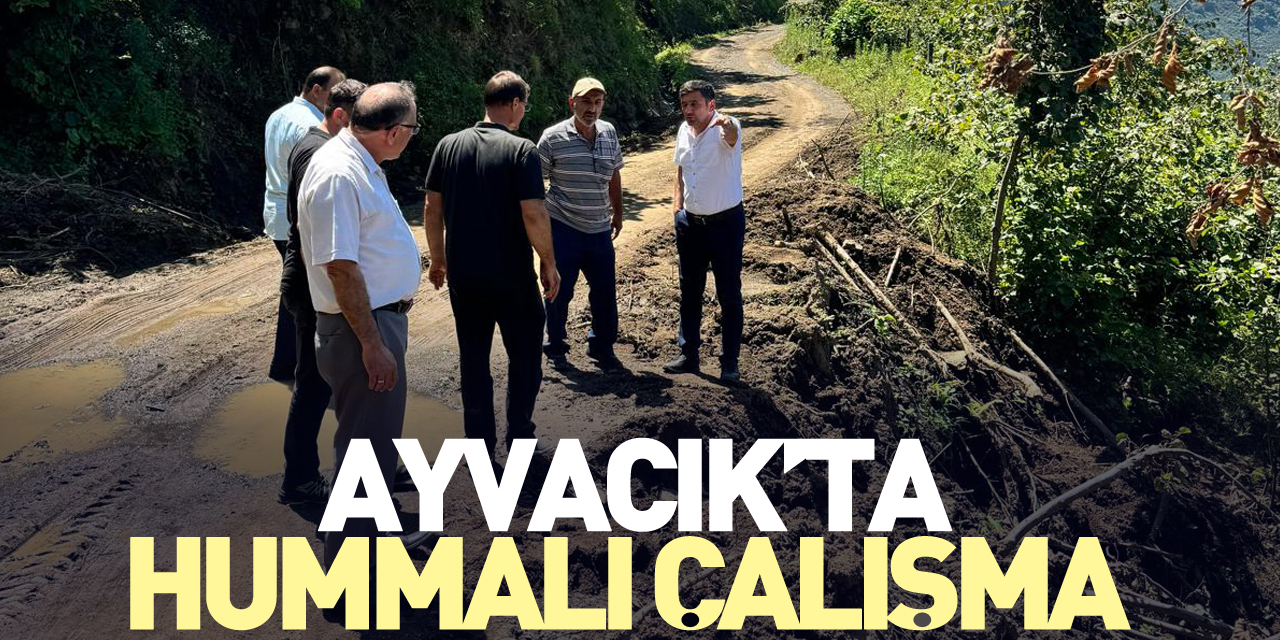 Ayvacık’ta hummalı çalışma