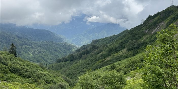 Camili Havzası kültürel ekolojik gezilerin rotasında