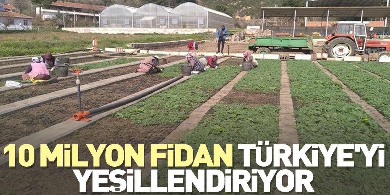 10 milyon fidan Türkiye'yi yeşillendiriyor