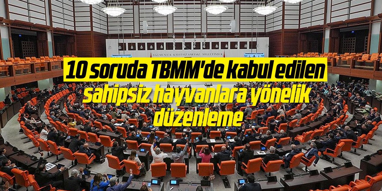 10 soruda TBMM'de kabul edilen sahipsiz hayvanlara yönelik düzenleme