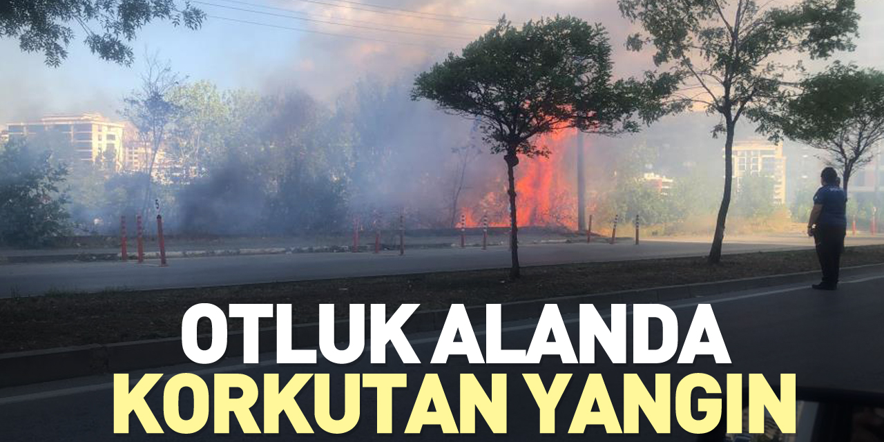 SAMSUN'DA KORKUTAN YANGIN