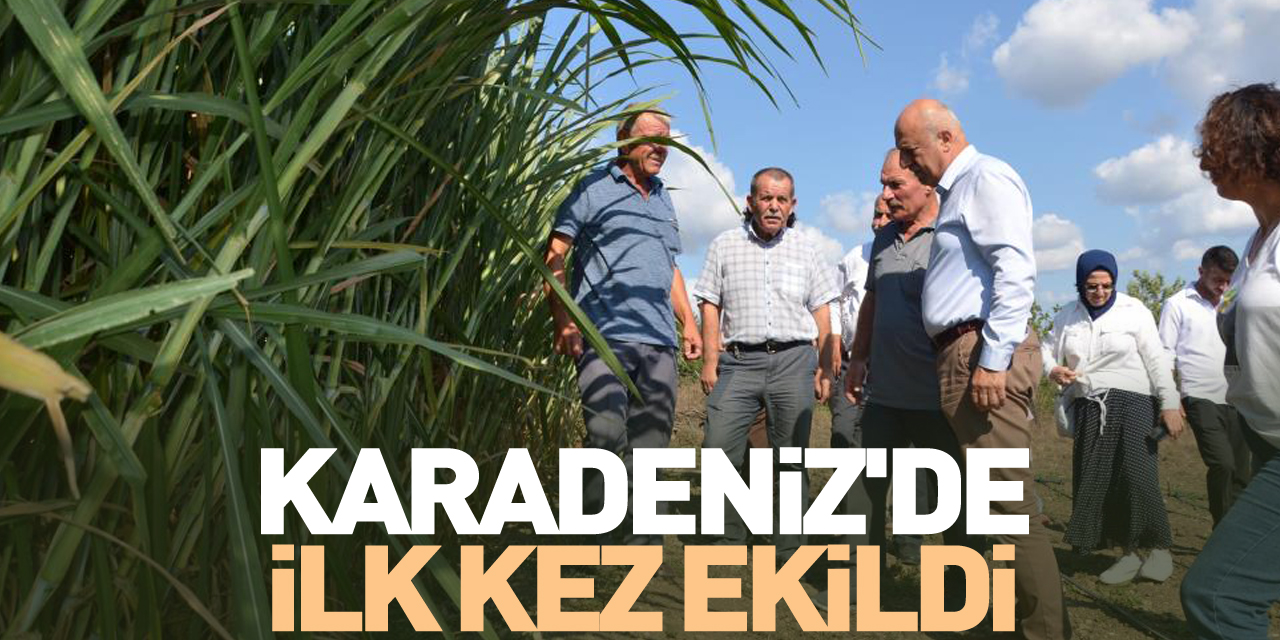 Karadeniz'de ilk kez ekildi