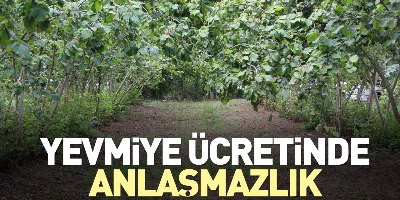 YEVMİYE ÜCRETİNDE ANLAŞMAZLIK