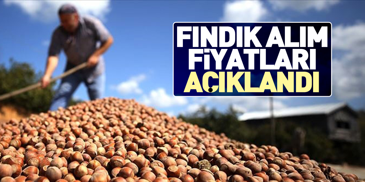 Fındık alım fiyatları açıklandı