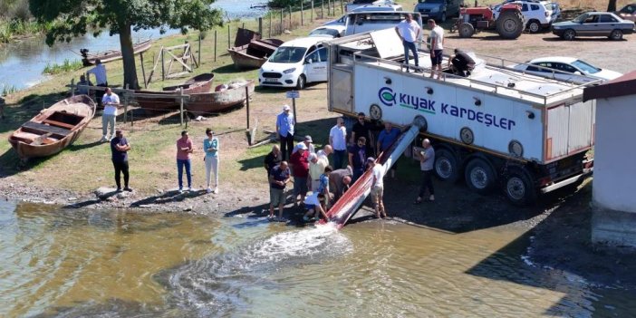 Su kanallarına 3 milyon 5 bin sazan yavrusu bırakıldı