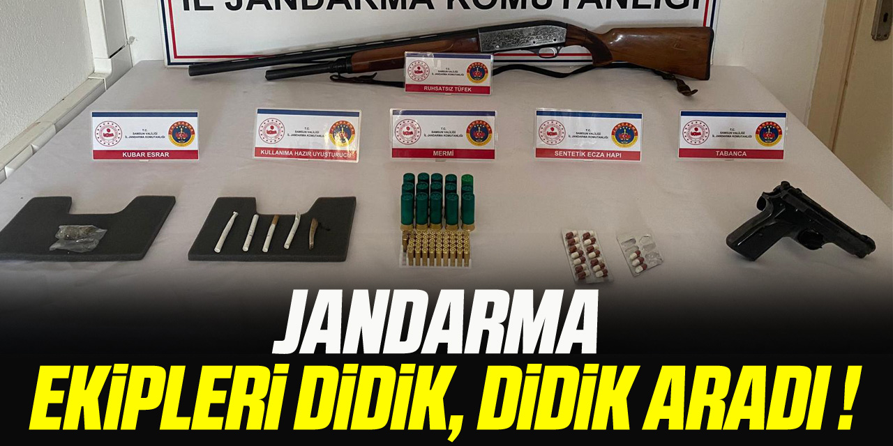 JANDARMA EKİPLERİ DİDİK, DİDİK ARADI !