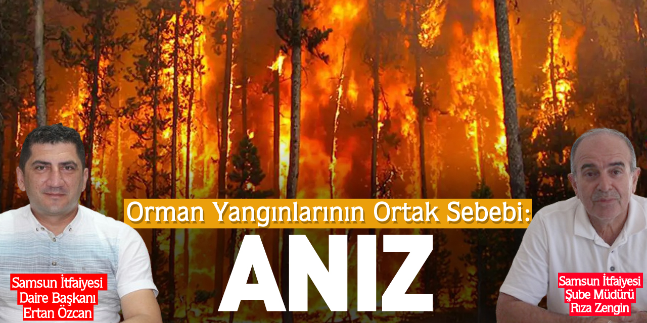 Orman Yangınlarının Ortak Sebebi: Anız