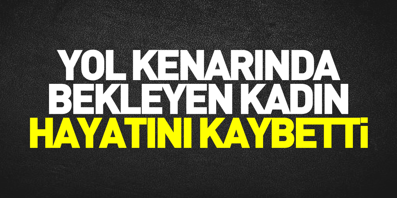 Yol kenarında bekleyen kadın hayatını kaybetti