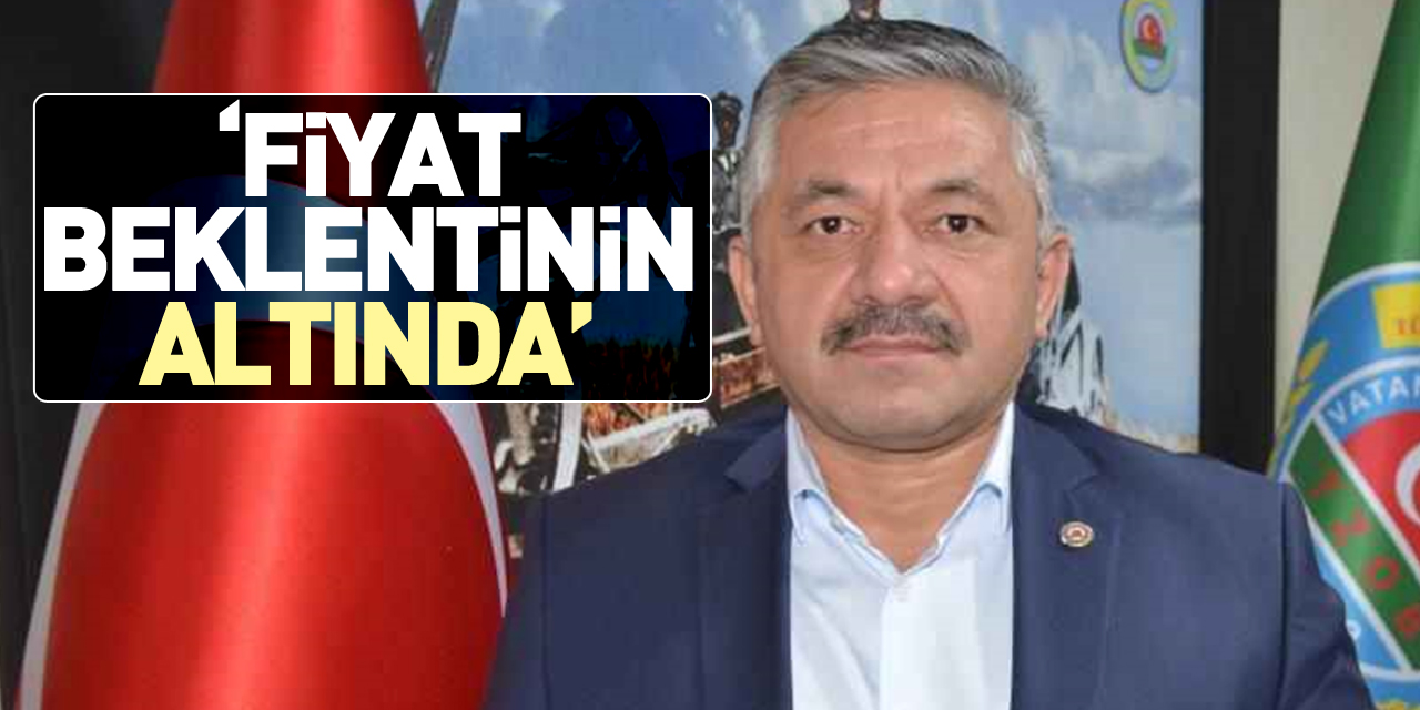 ‘Fiyat Beklentinin Altında’