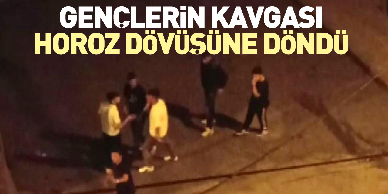 GENÇLERİN KAVGASI HOROZ DÖVÜŞÜNE DÖNDÜ