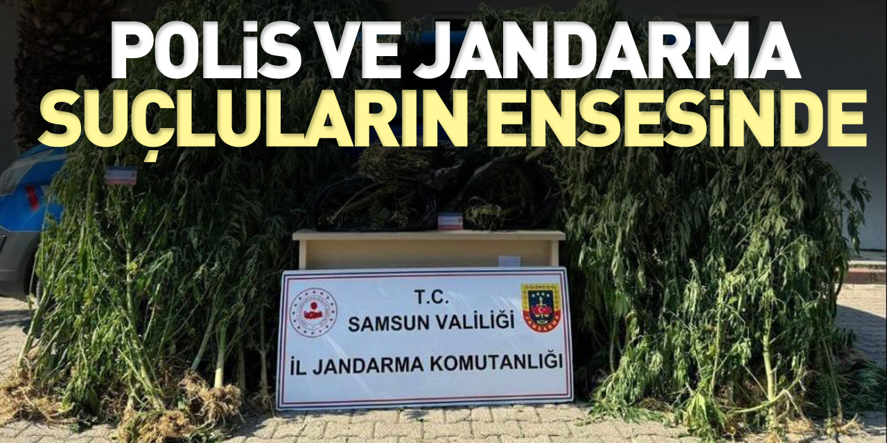 Bin 261 aranan şahıs yakalandı, 200 ruhsatsız tabanca ele geçirildi