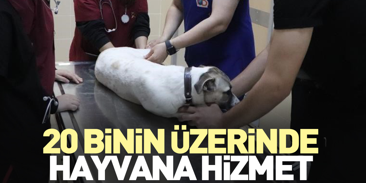 20 binin üzerinde hayvana hizmet