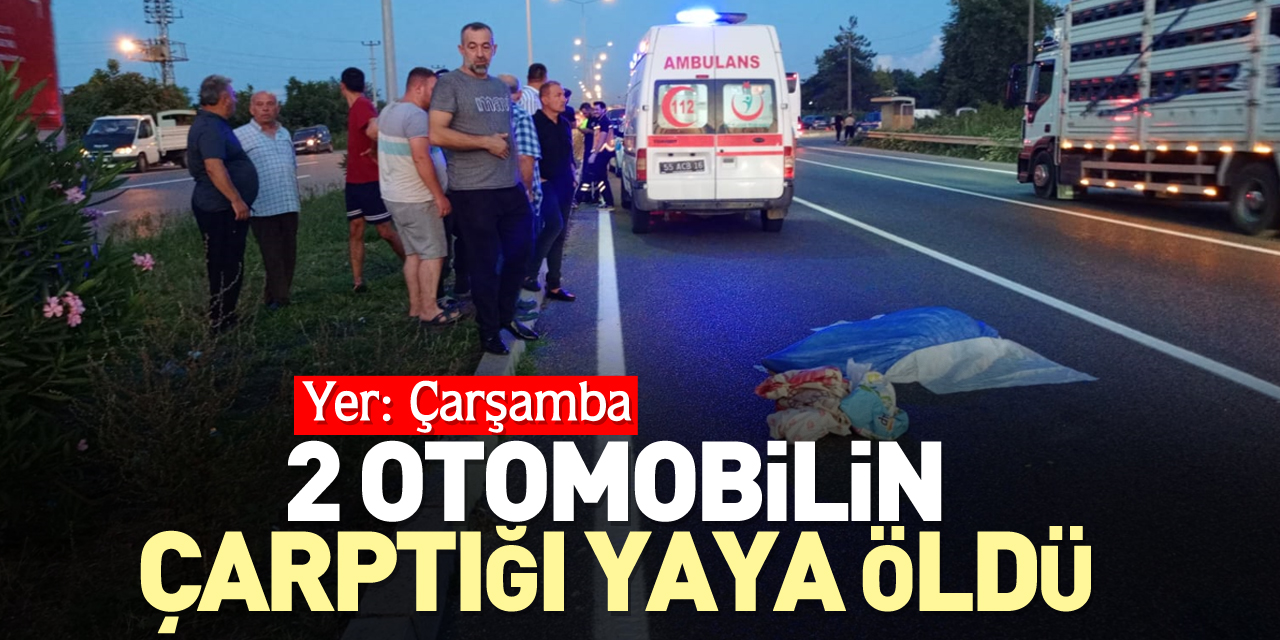 2 otomobilin çarptığı yaya öldü