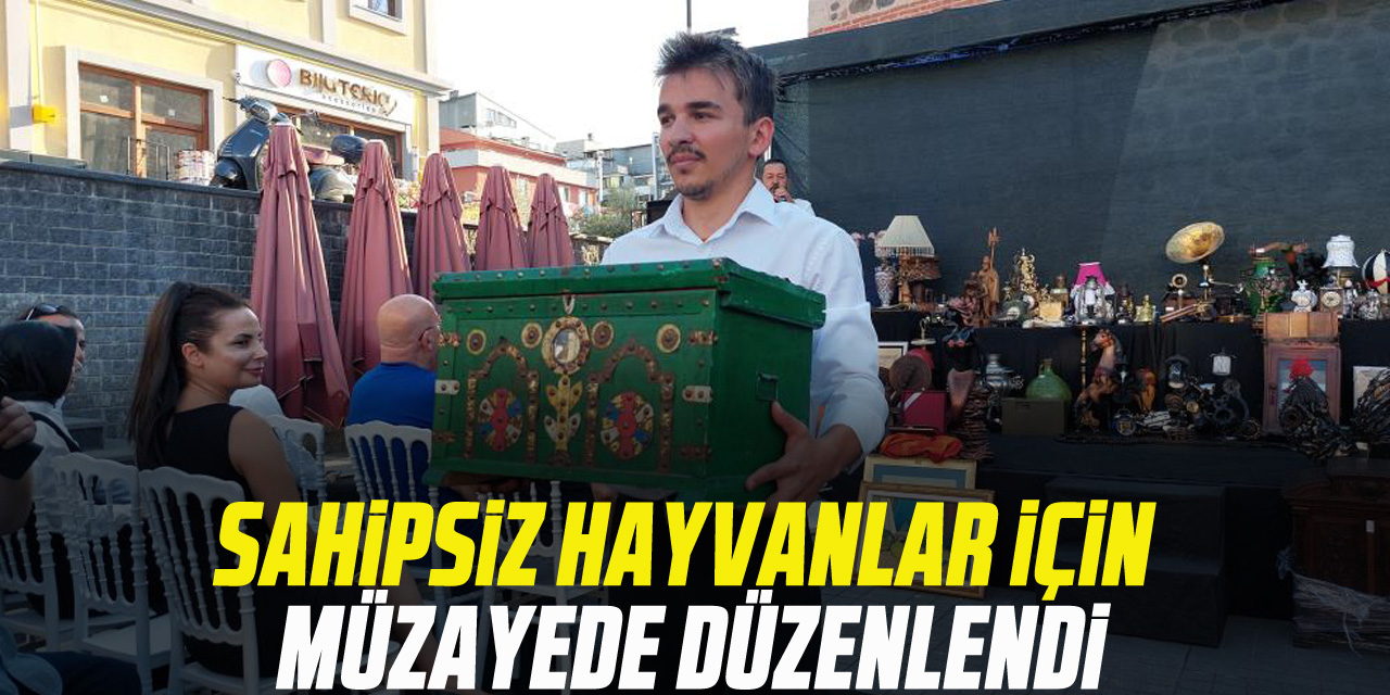 Sahipsiz hayvanlar için müzayede düzenlendi