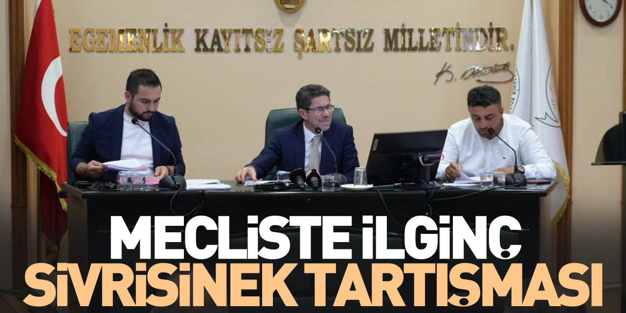 Mecliste İlginç Sivrisinek Tartışması