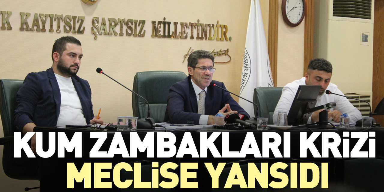 Kum Zambakları krizi meclise yansıdı