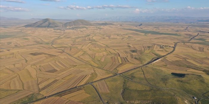 Kars Ovası halı gibi desenlere büründü